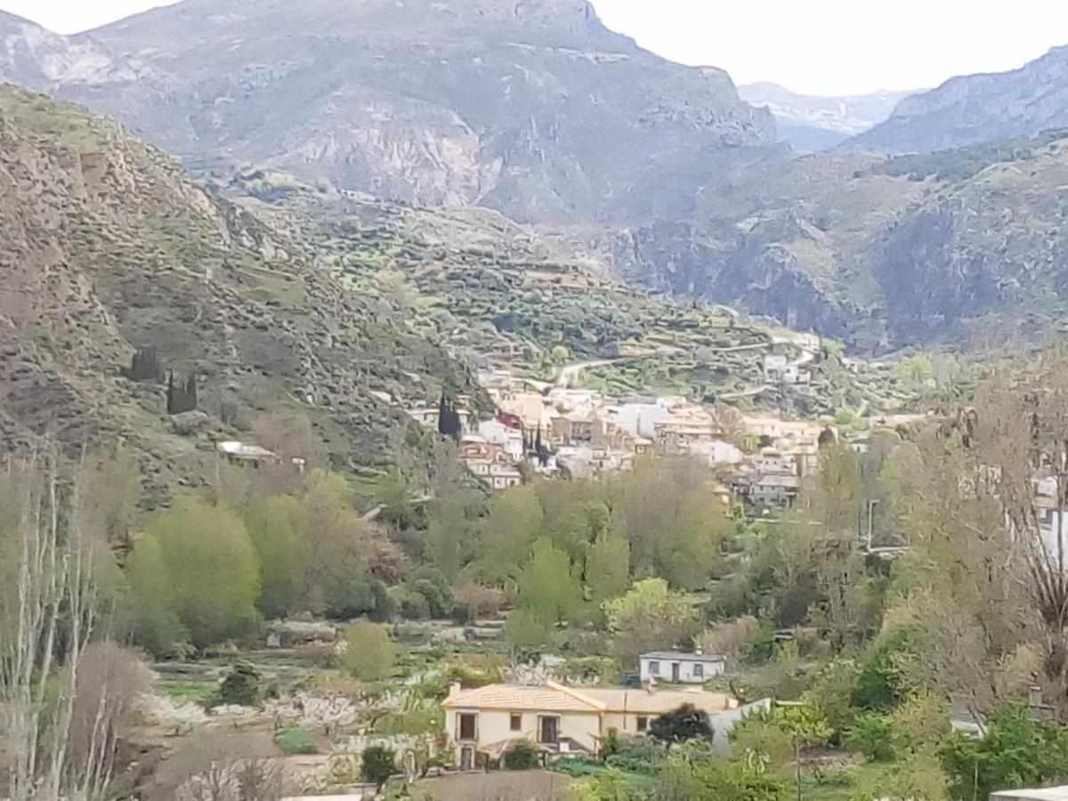 Casa Rural Las Huertas De Roque 莫纳奇尔 外观 照片