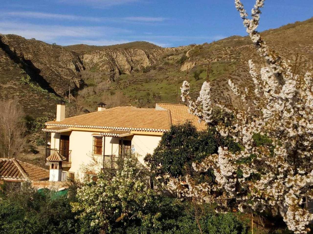 Casa Rural Las Huertas De Roque 莫纳奇尔 客房 照片