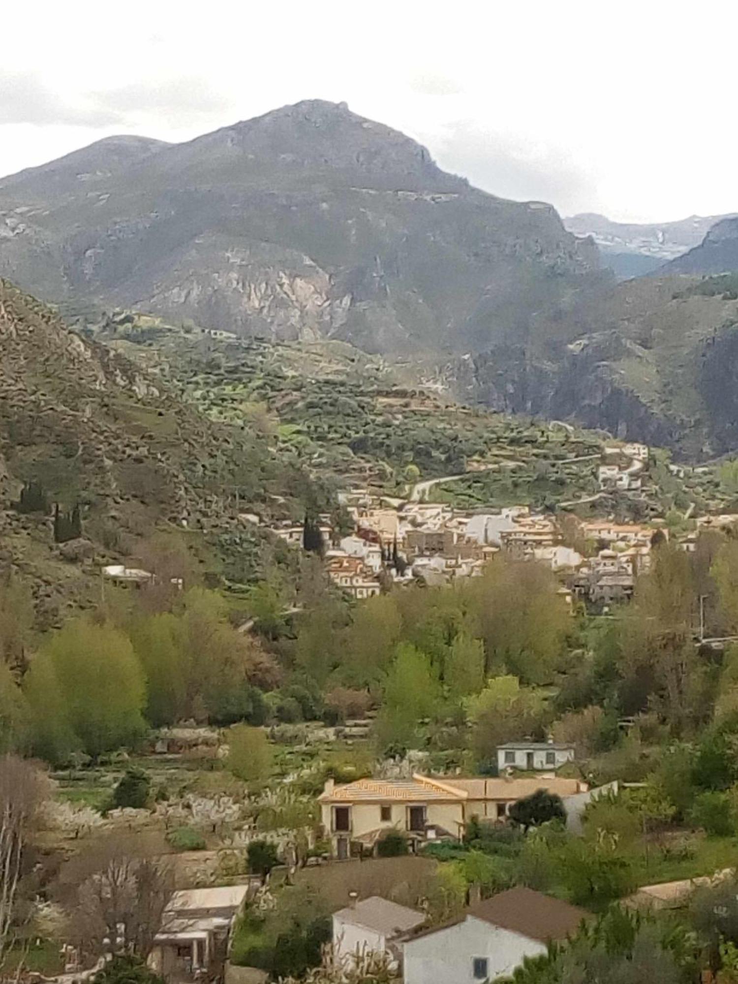 Casa Rural Las Huertas De Roque 莫纳奇尔 客房 照片