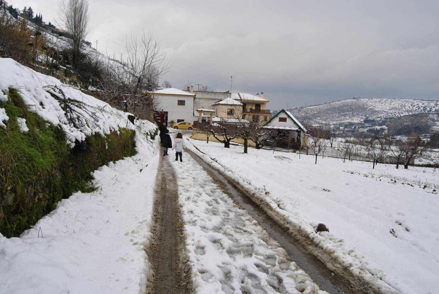 Casa Rural Las Huertas De Roque 莫纳奇尔 客房 照片