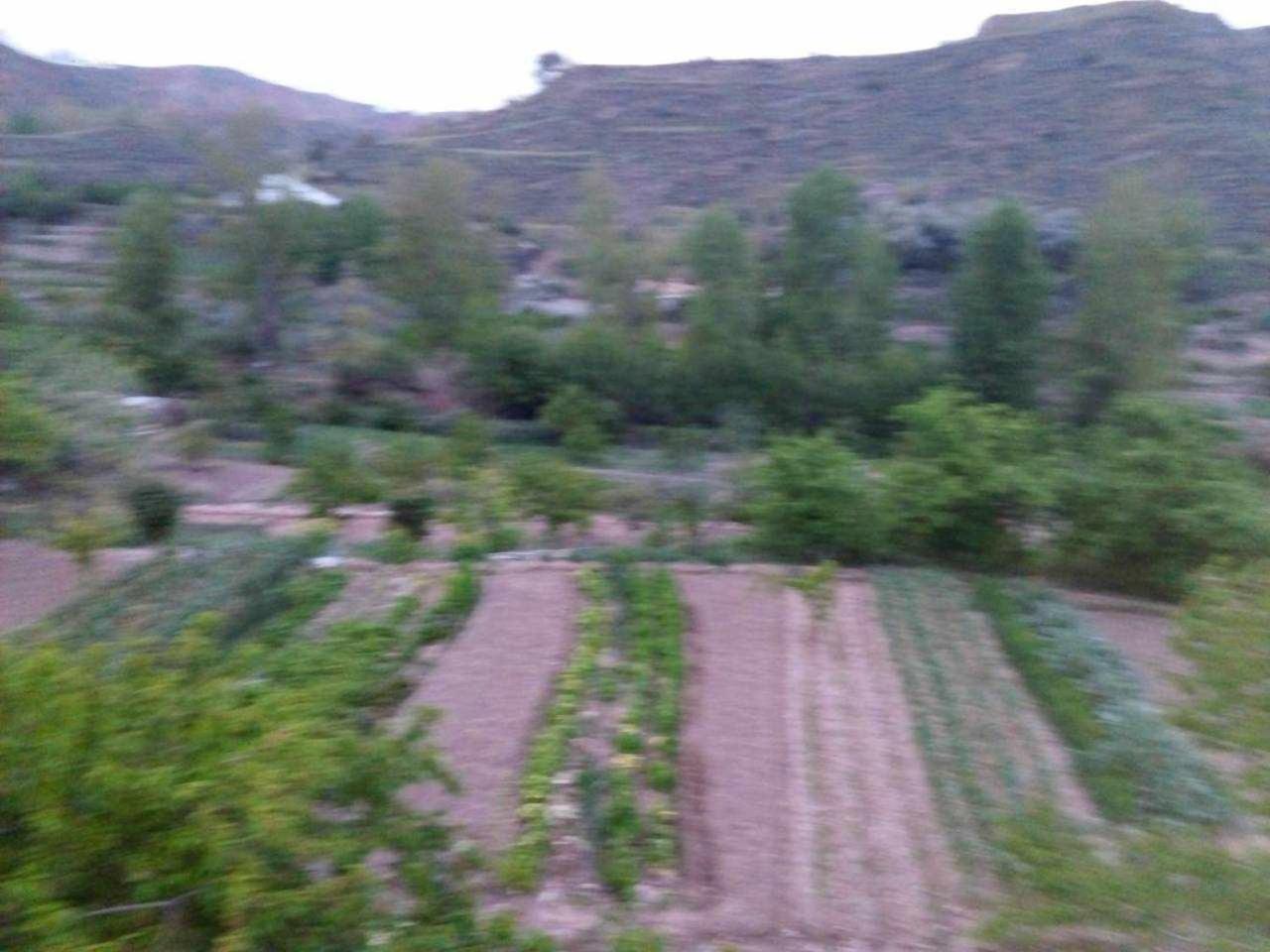 Casa Rural Las Huertas De Roque 莫纳奇尔 客房 照片